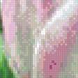 Предпросмотр схемы вышивки «тюльпаны» (№551553)
