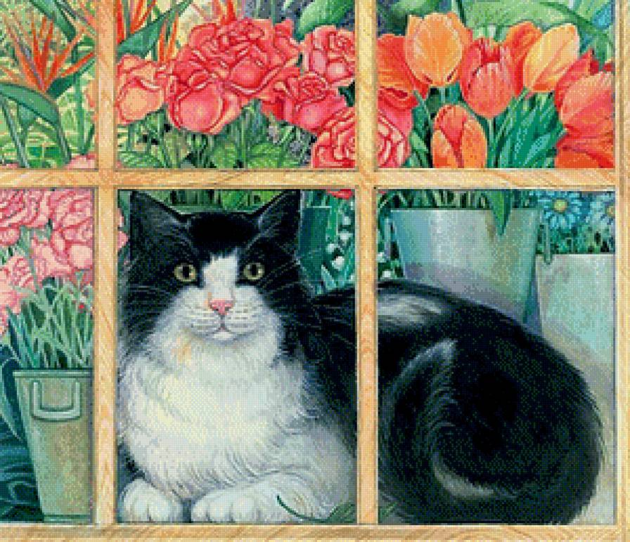 Кошка на окошке - кошка, окно, животные, тюльпаны, цветы - предпросмотр