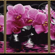 Оригинал схемы вышивки «орхидеи» (№552434)