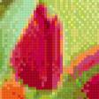 Предпросмотр схемы вышивки «Бабочки и тюльпаны» (№553063)
