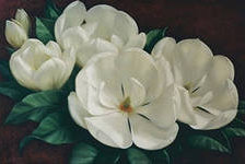 Оригинал схемы вышивки «Белые цветы» (№553119)