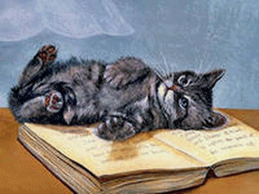 Устал читать - коты, животные - предпросмотр