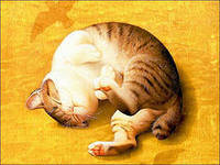 Схема вышивки «Коташка спит»