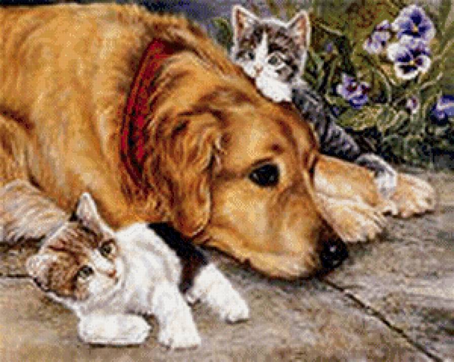 Лучший друг - коты, собаки, дружба, животные, любовь - предпросмотр