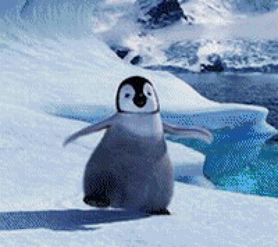 Пингвин - зима, природа - предпросмотр