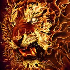 Огненный зверь