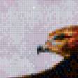 Предпросмотр схемы вышивки «полет орла» (№553538)