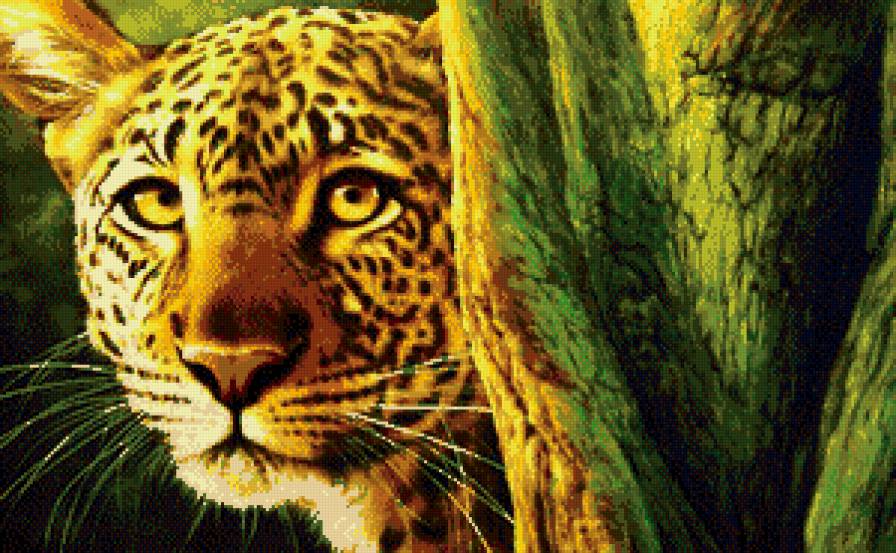 ягуар - кошки, хищники, животные, природа - предпросмотр
