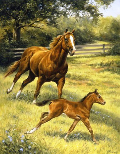 лошади - природа, животные, лошади - оригинал