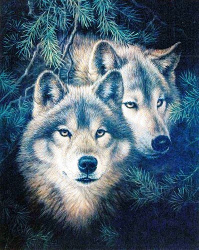 волки - лес, волки, природа, животные - оригинал