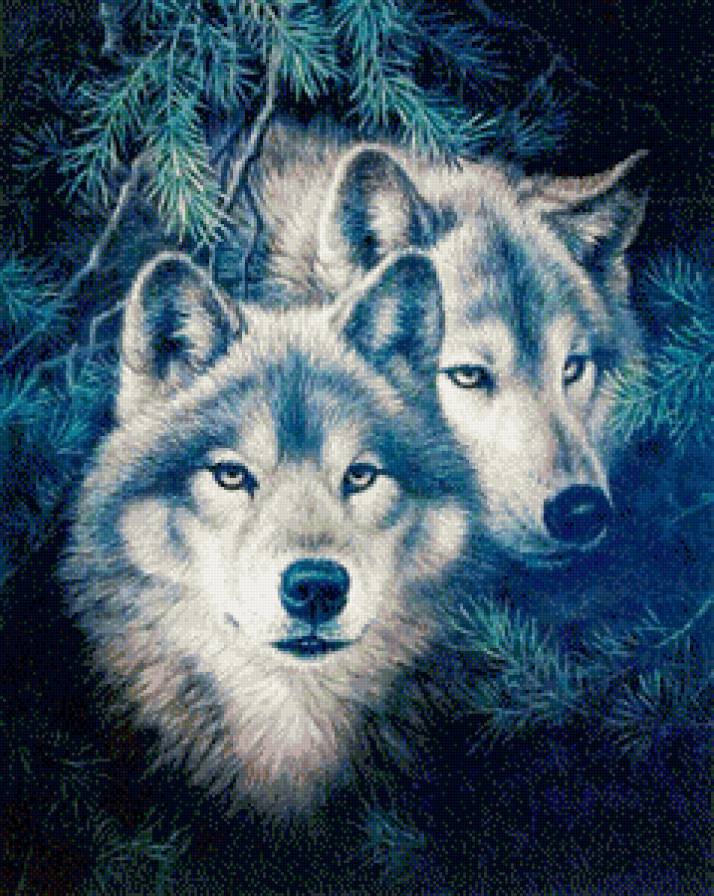 волки - волки, лес, животные, природа - предпросмотр