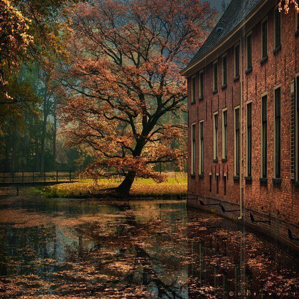 Дом на воде - осень, деревья, мост, пруд, парк, дом - оригинал
