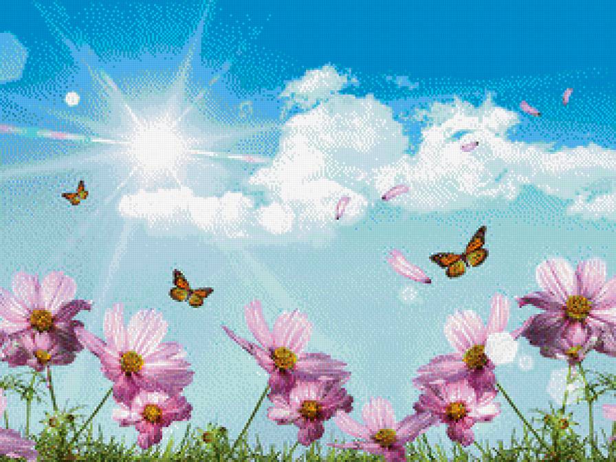 Бабочки и цветы - цветы, небо, природа, бабочки, пейзажи - предпросмотр