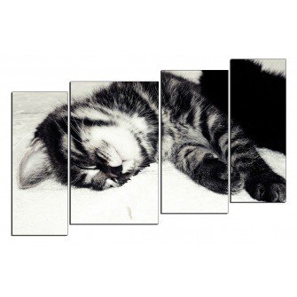 Спящий котенок - котенок, триптих, кошки - оригинал