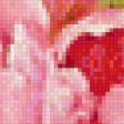 Предпросмотр схемы вышивки «Тюльпаны» (№554889)
