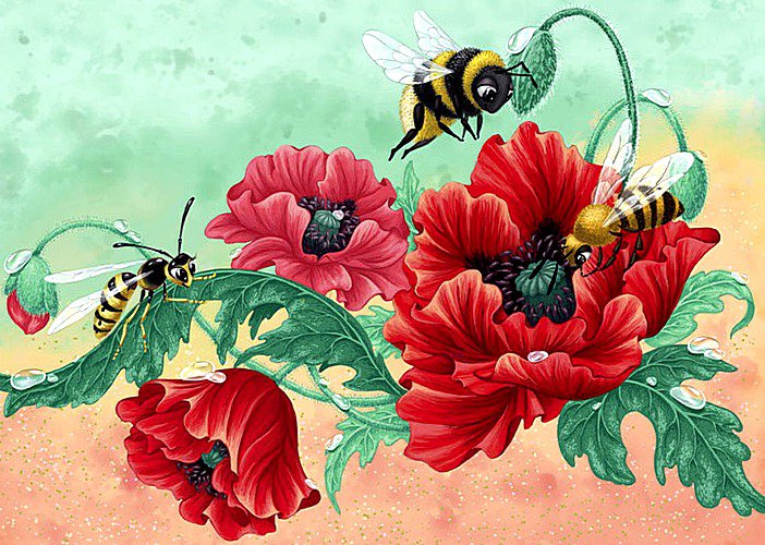 Маки - цветы, пчелы, маки - оригинал
