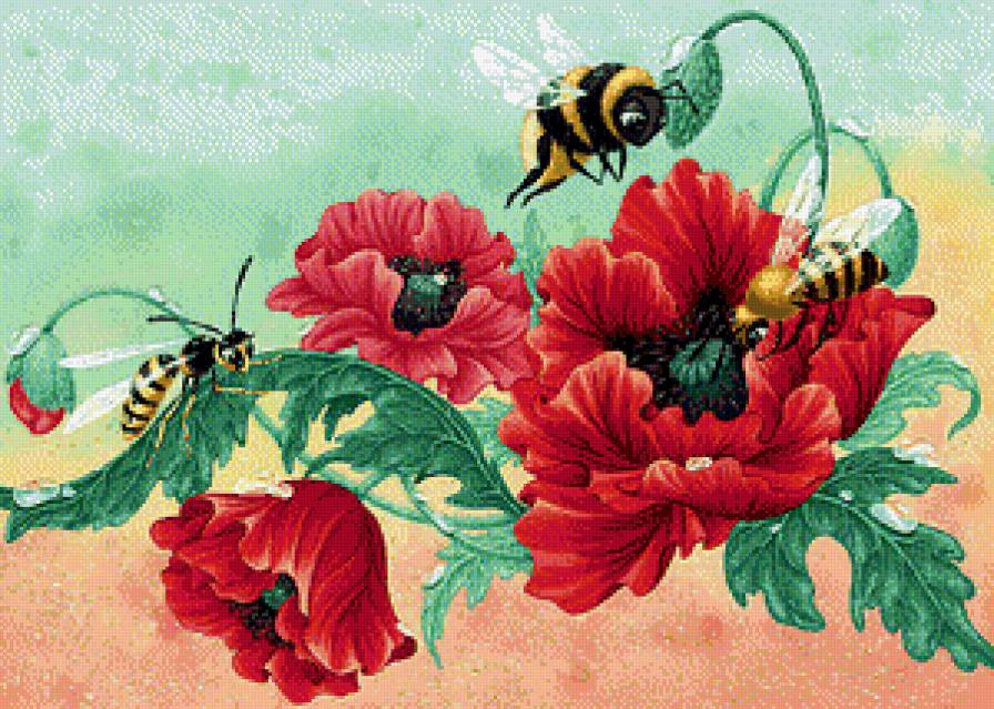 Маки - цветы, пчелы, маки - предпросмотр