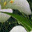 Предпросмотр схемы вышивки «лилии» (№555440)