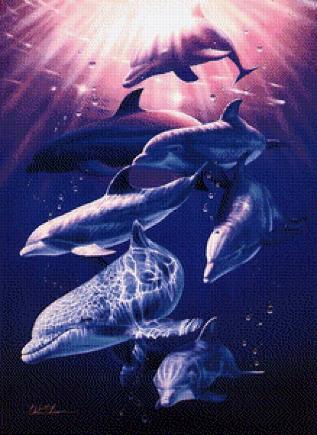 Дельфины - предпросмотр