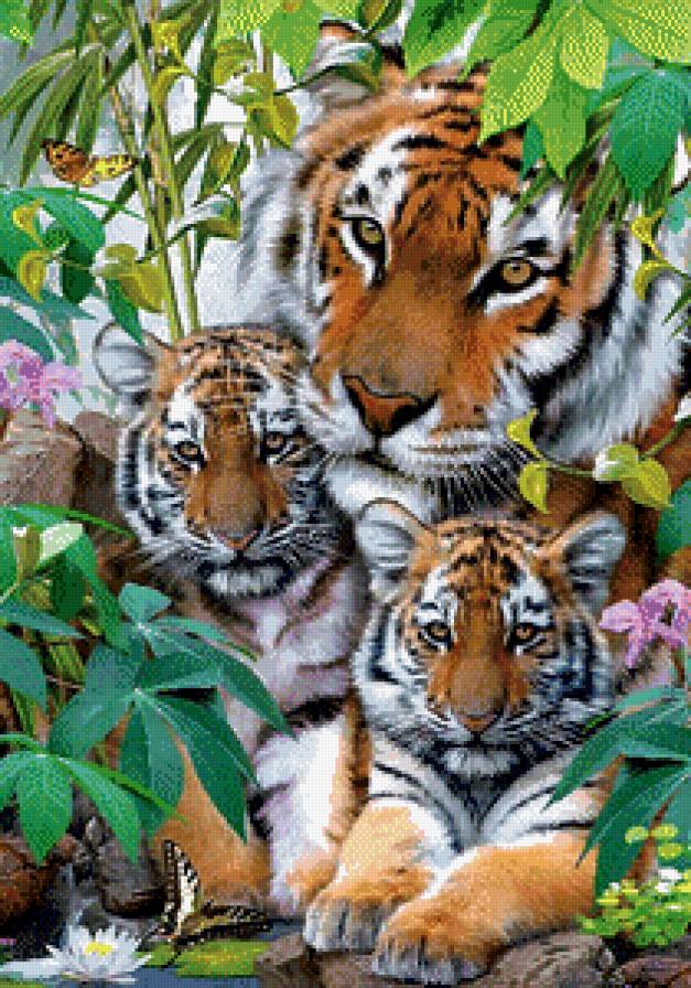 Тигры - семья, тигры - предпросмотр