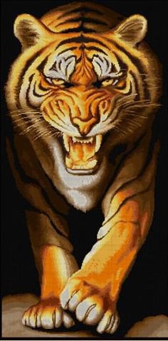 тигр - хищники, тигры - оригинал