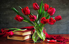 №556771 - натюрморт, тюльпаны, букет, цветы - оригинал