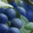 Предпросмотр схемы вышивки «Синицы и виноград» (№557125)