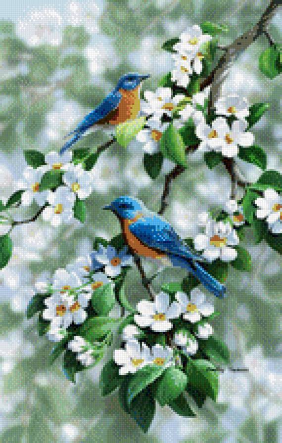 Цветы и птицы-2 - птица, цветы, красота, настроение - предпросмотр
