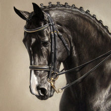 Оригинал схемы вышивки «Портрет лошади» (№557620)