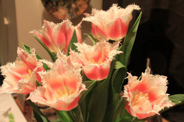розовые_тюльпаны - букет, цветы - оригинал