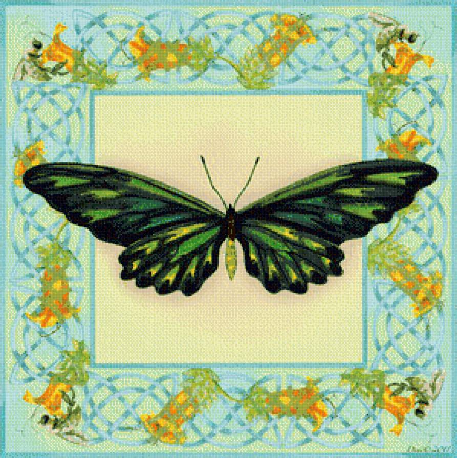 Вариант для подушки "Бабочки" - бабочки, подушка - предпросмотр