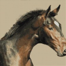 Оригинал схемы вышивки «конь» (№558021)