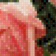Предпросмотр схемы вышивки «rozowe piwonie» (№558147)