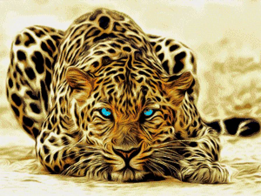 Леопард - леопард, голубые глаза - предпросмотр