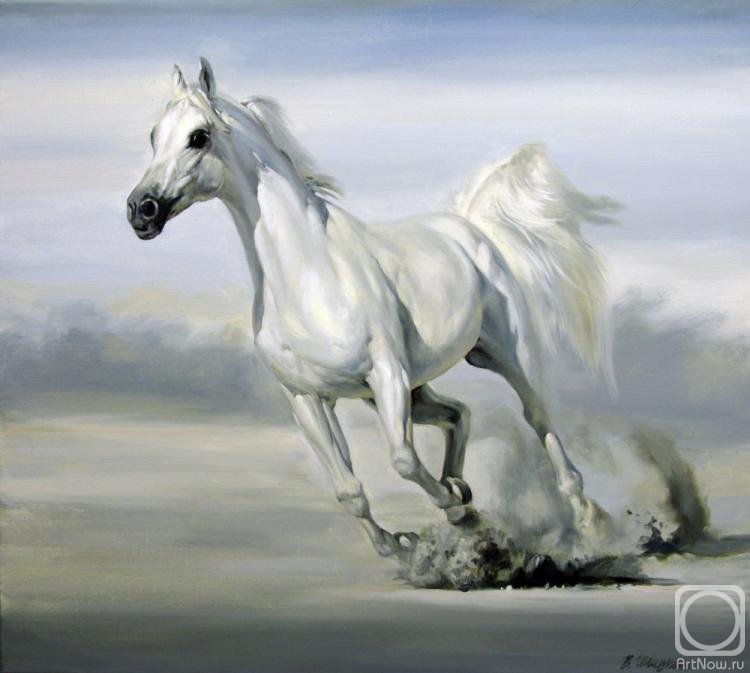 Белая лошадь - море, животные, лошадь - оригинал