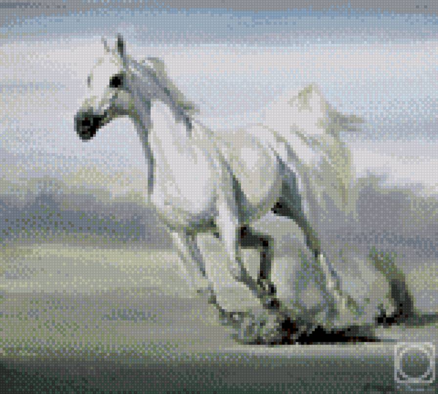 Белая лошадь - лошадь, море, животные - предпросмотр