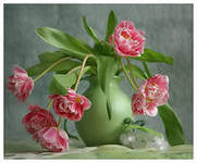 ПИОНЫ - цветы, натюрморт, ваза - оригинал