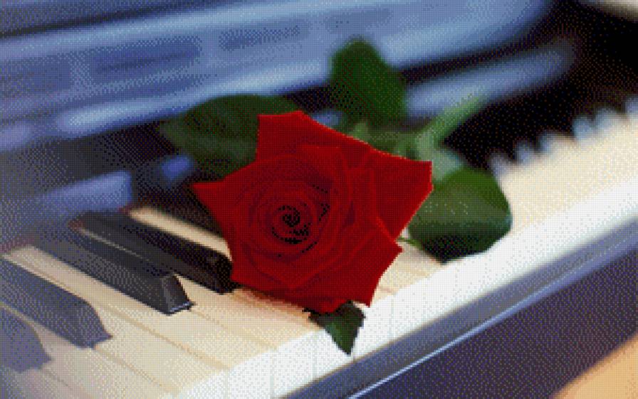серия "розы" - цветы.розы.пианино - предпросмотр