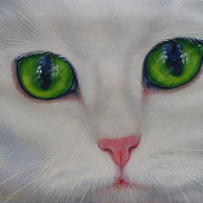 Оригинал схемы вышивки «зеленоглазый кот» (№559651)
