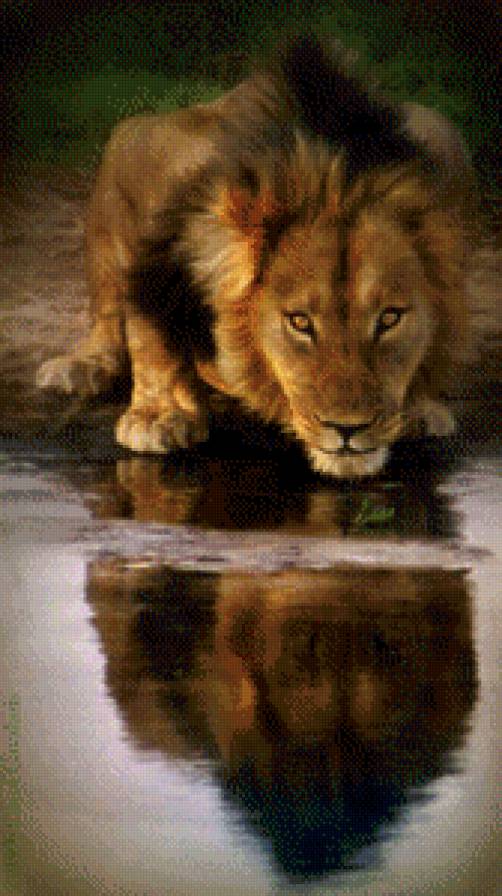 царь зверей - животные, лев, вода - предпросмотр