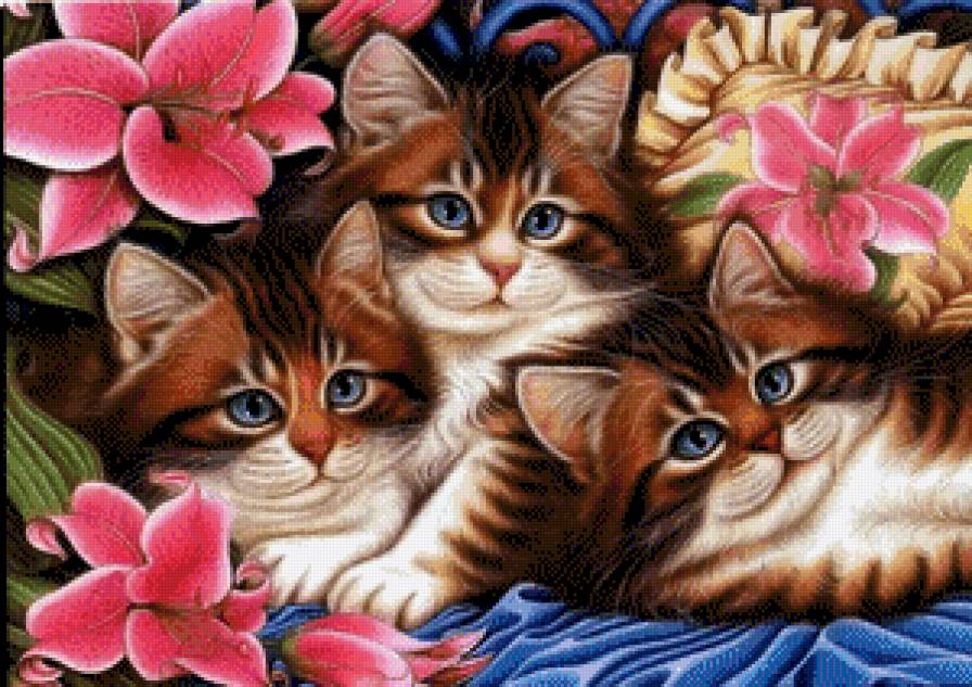 милые малыши - лилии, кошка, котята, домашние животные, кот, кошки, розовые цветы - предпросмотр