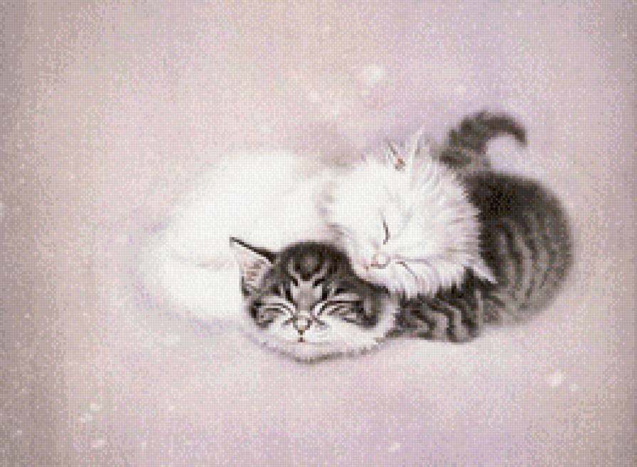 Спящие котята - котенок, животные - предпросмотр