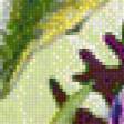 Предпросмотр схемы вышивки «В цветах» (№560470)