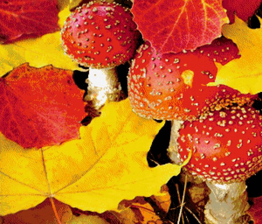 дары осени - листья, грибы, пано, осень, природа - предпросмотр