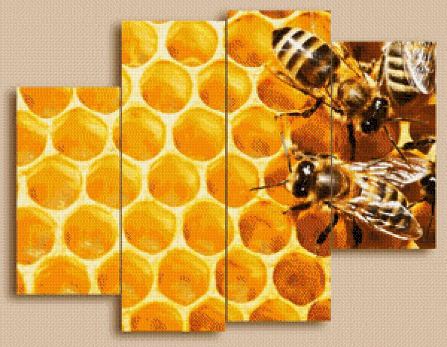 №561211 - мед, триптих, соты, пчелы - предпросмотр