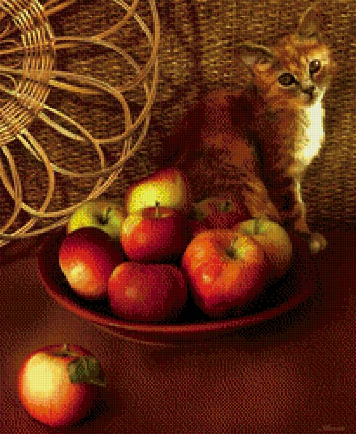 кошка с яблоками - яблоки, кошка, картина - предпросмотр