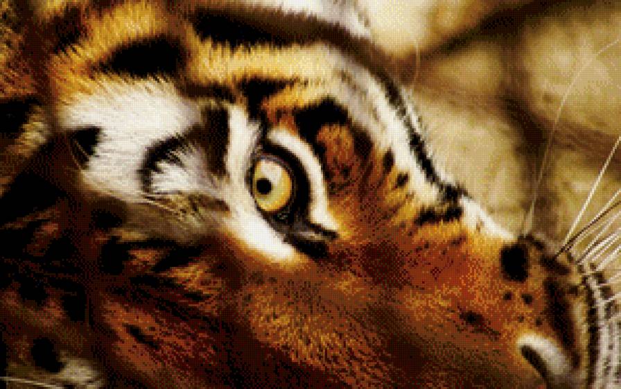 тигр - глаз, взгляд, морда, тигр, хищник - предпросмотр