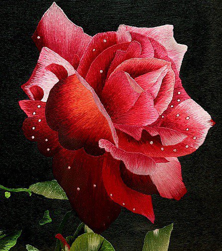 роза - цветы, роза, картина, пано - оригинал