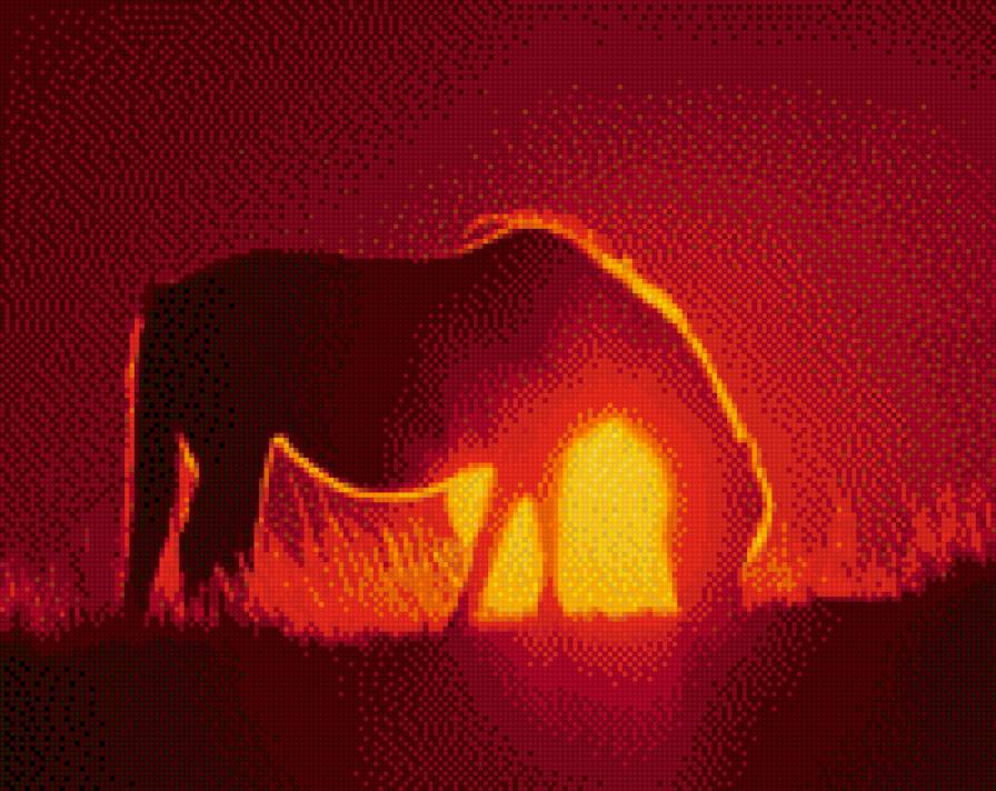 Лошадь на Закате - horse, sunset, лошади, лошадь, закат, лошадь на закате - предпросмотр