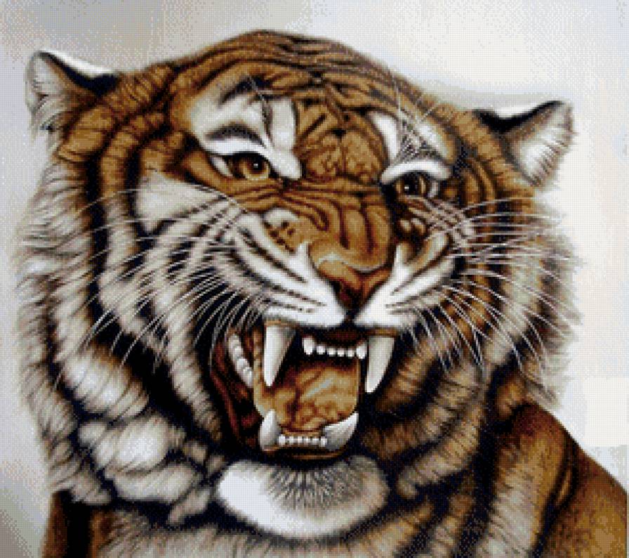 тигр - природа, животные, тигры - предпросмотр